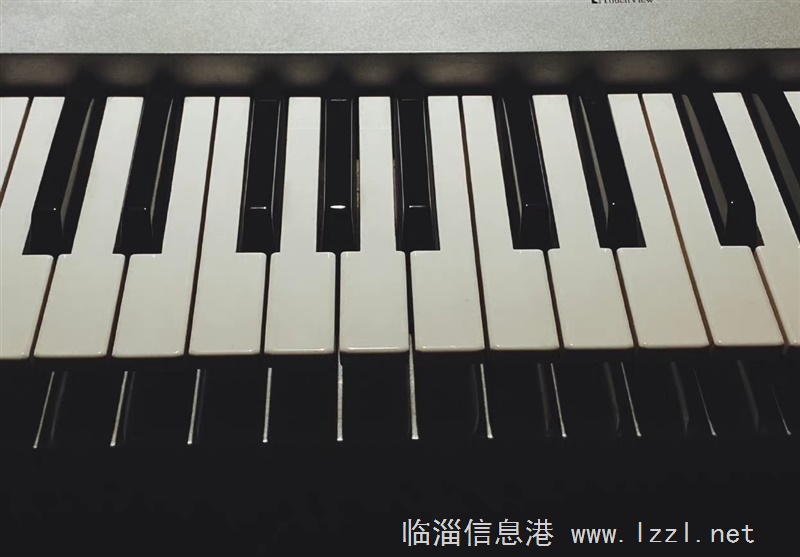 樂器陪練老師數名