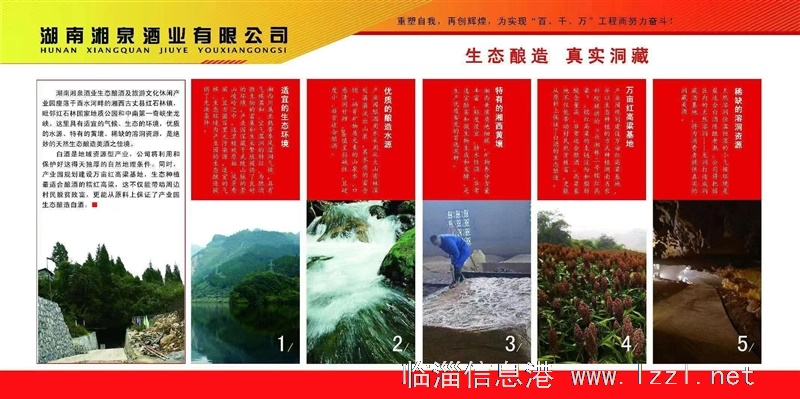 湘泉酒業山東辦事處高薪誠聘